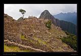 Machu Piccu 060